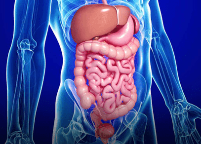 Gastroenterology